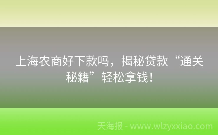 上海农商好下款吗，揭秘贷款“通关秘籍”轻松拿钱！