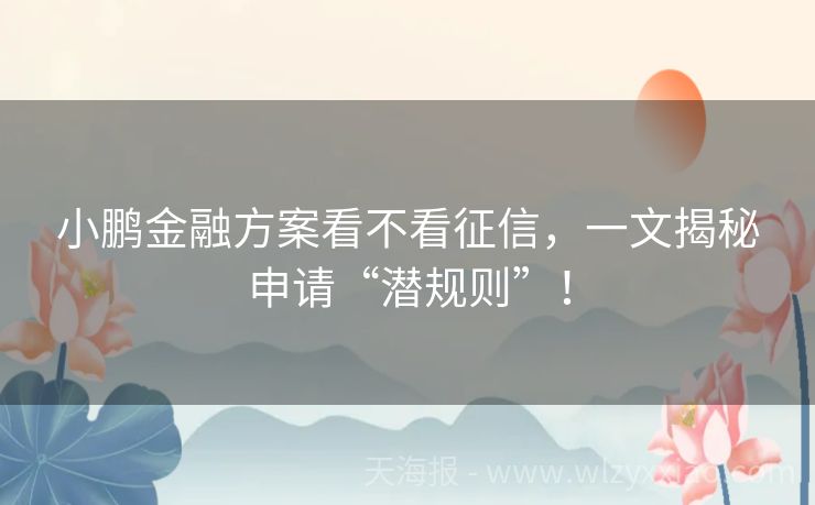 小鹏金融方案看不看征信，一文揭秘申请“潜规则”！