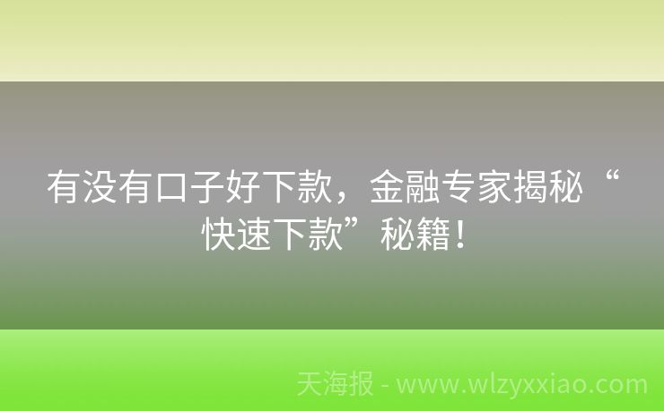 有没有口子好下款，金融专家揭秘“快速下款”秘籍！