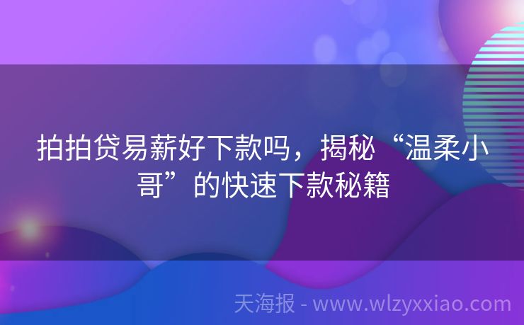 拍拍贷易薪好下款吗，揭秘“温柔小哥”的快速下款秘籍