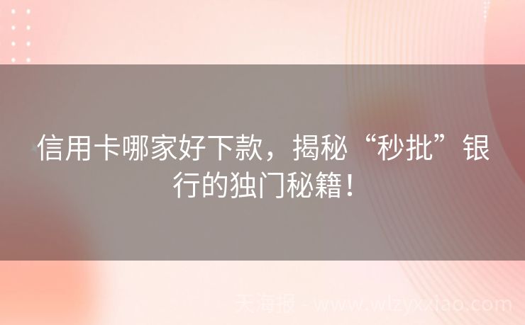 信用卡哪家好下款，揭秘“秒批”银行的独门秘籍！
