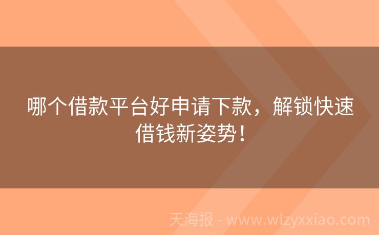 哪个借款平台好申请下款，解锁快速借钱新姿势！