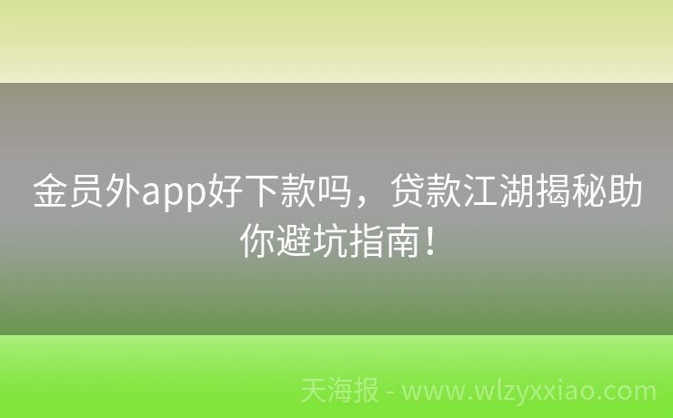 金员外app好下款吗，贷款江湖揭秘助你避坑指南！