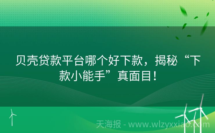 贝壳贷款平台哪个好下款，揭秘“下款小能手”真面目！