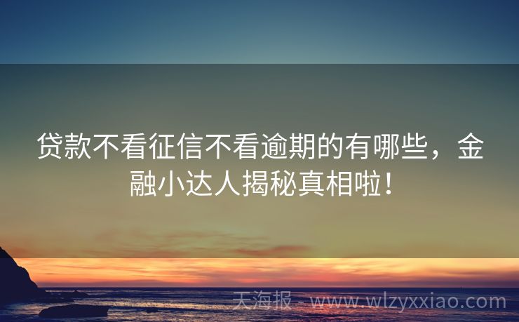 贷款不看征信不看逾期的有哪些，金融小达人揭秘真相啦！