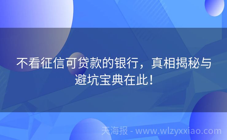 不看征信可贷款的银行，真相揭秘与避坑宝典在此！
