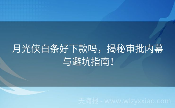 月光侠白条好下款吗，揭秘审批内幕与避坑指南！