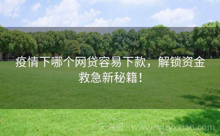 疫情下哪个网贷容易下款，解锁资金救急新秘籍！