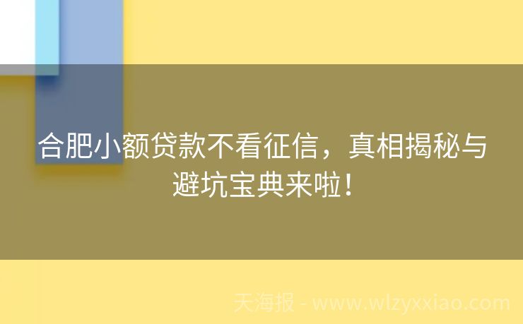 合肥小额贷款不看征信，真相揭秘与避坑宝典来啦！