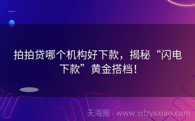 拍拍贷哪个机构好下款，揭秘“闪电下款”黄金搭档！