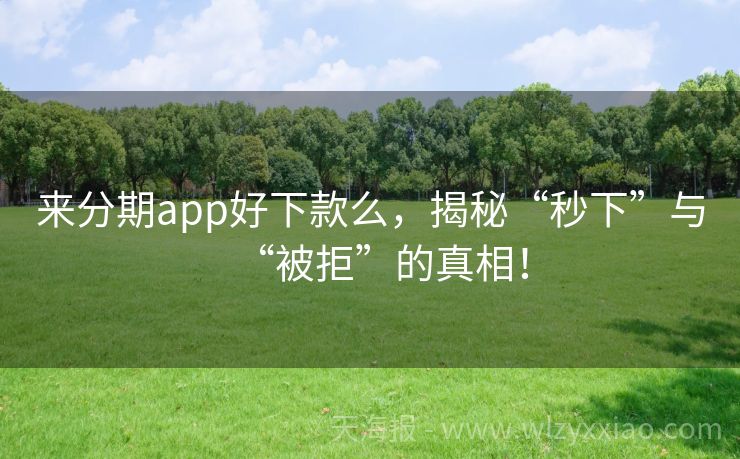 来分期app好下款么，揭秘“秒下”与“被拒”的真相！