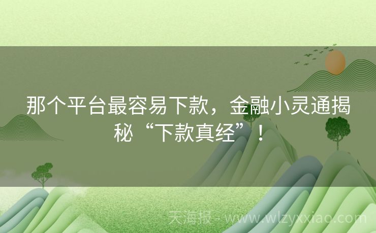 那个平台最容易下款，金融小灵通揭秘“下款真经”！