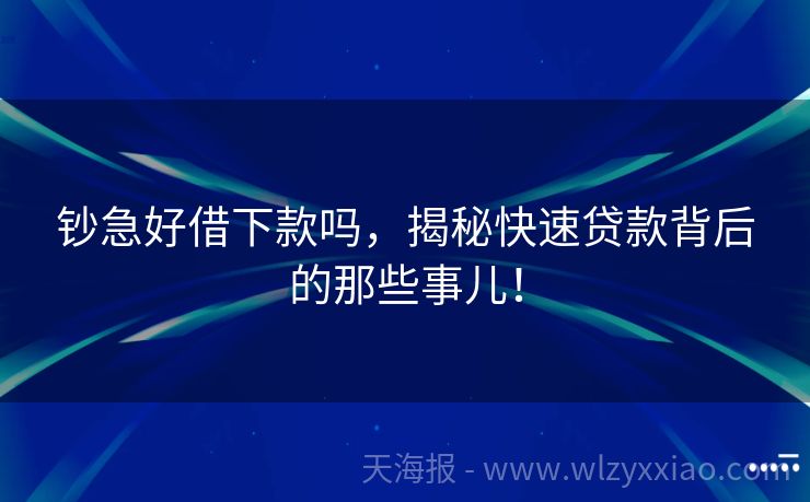 钞急好借下款吗，揭秘快速贷款背后的那些事儿！