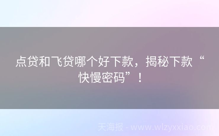 点贷和飞贷哪个好下款，揭秘下款“快慢密码”！