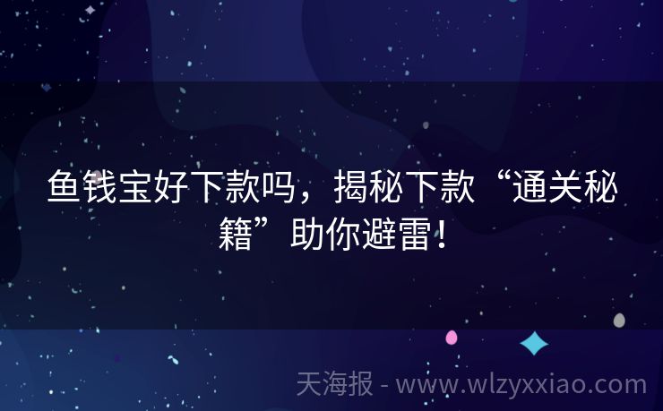 鱼钱宝好下款吗，揭秘下款“通关秘籍”助你避雷！