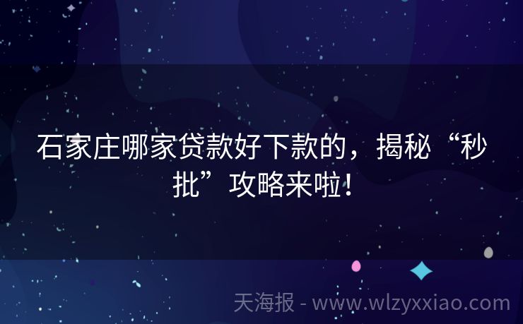 石家庄哪家贷款好下款的，揭秘“秒批”攻略来啦！