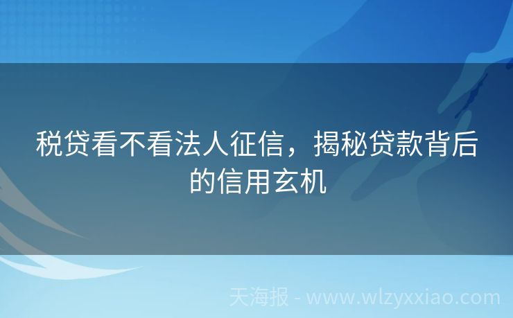 税贷看不看法人征信，揭秘贷款背后的信用玄机