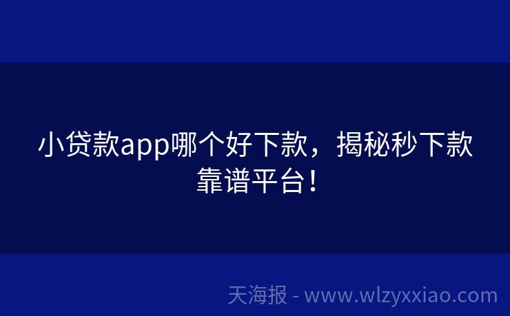 小贷款app哪个好下款，揭秘秒下款靠谱平台！