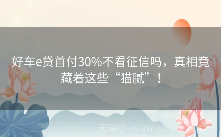 好车e贷首付30%不看征信吗，真相竟藏着这些“猫腻”！