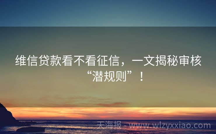 维信贷款看不看征信，一文揭秘审核“潜规则”！