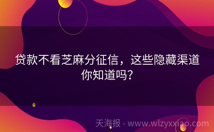贷款不看芝麻分征信，这些隐藏渠道你知道吗？