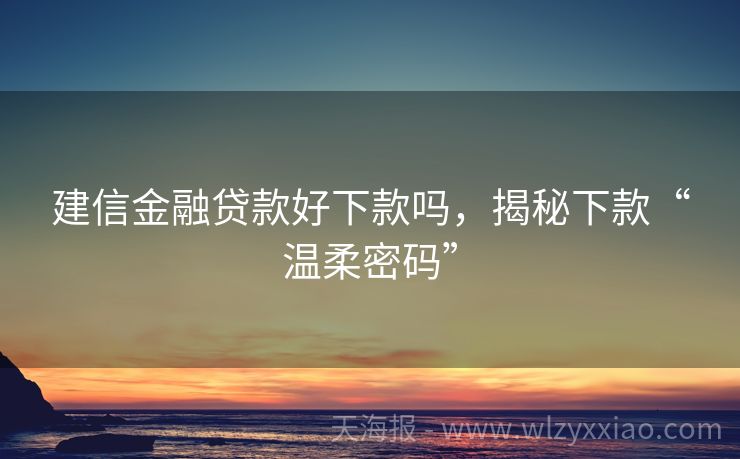 建信金融贷款好下款吗，揭秘下款“温柔密码”
