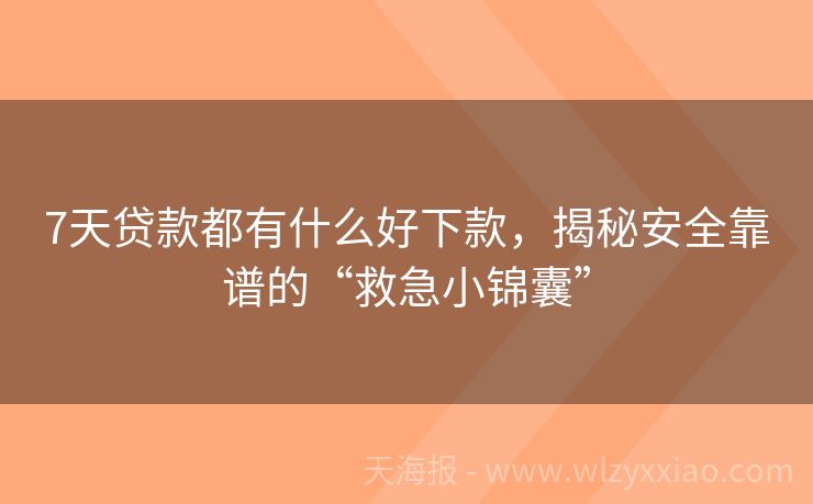 7天贷款都有什么好下款，揭秘安全靠谱的“救急小锦囊”