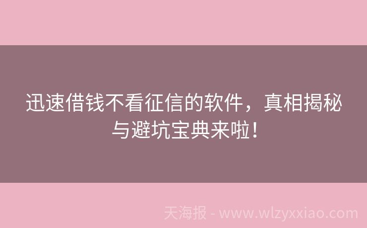 迅速借钱不看征信的软件，真相揭秘与避坑宝典来啦！