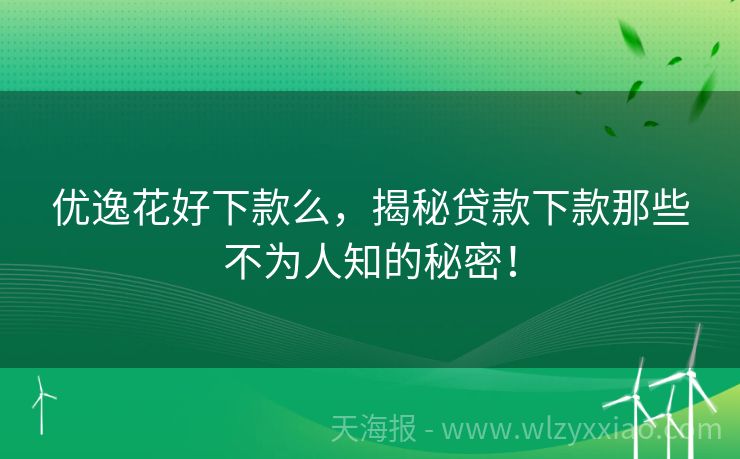 优逸花好下款么，揭秘贷款下款那些不为人知的秘密！