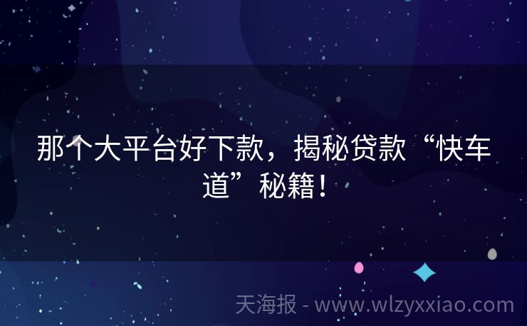 那个大平台好下款，揭秘贷款“快车道”秘籍！
