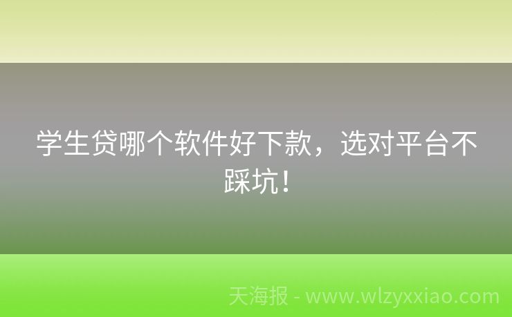 学生贷哪个软件好下款，选对平台不踩坑！