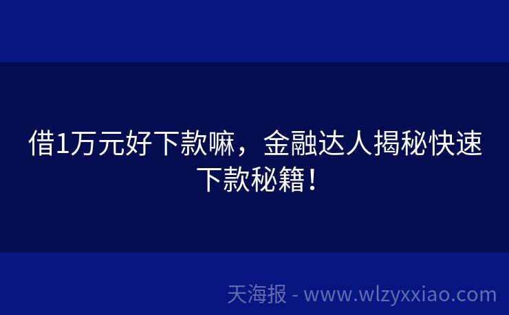 借1万元好下款嘛，金融达人揭秘快速下款秘籍！