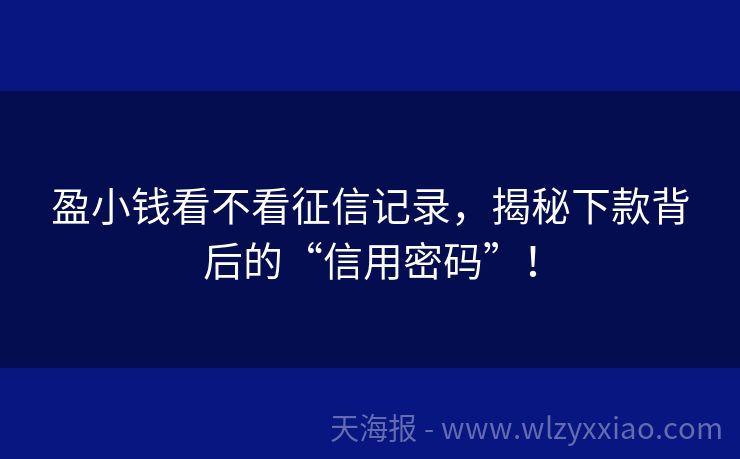盈小钱看不看征信记录，揭秘下款背后的“信用密码”！
