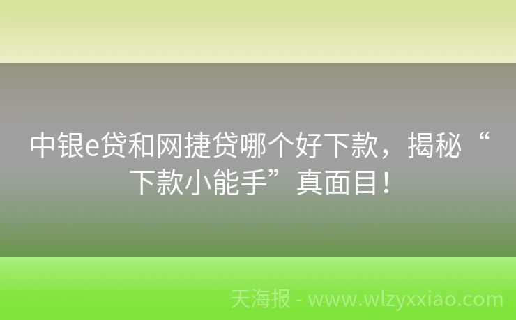 中银e贷和网捷贷哪个好下款，揭秘“下款小能手”真面目！