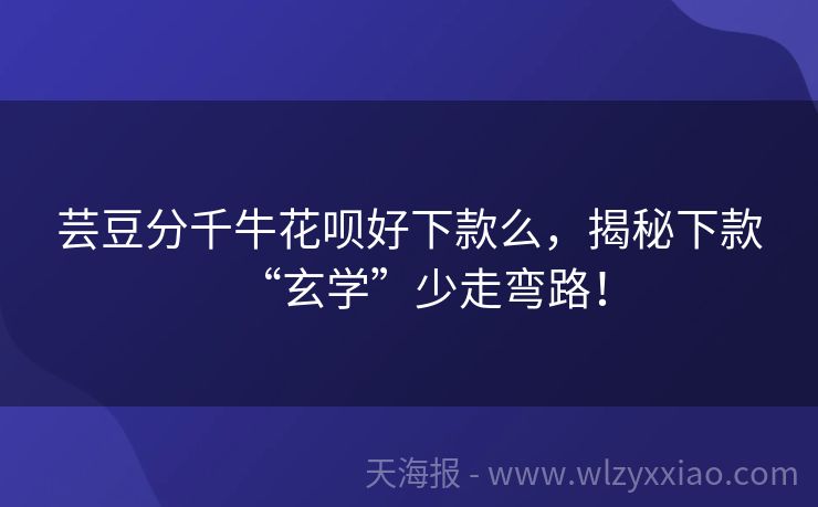 芸豆分千牛花呗好下款么，揭秘下款“玄学”少走弯路！