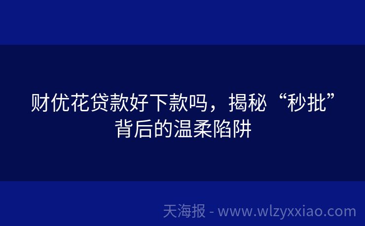 财优花贷款好下款吗，揭秘“秒批”背后的温柔陷阱