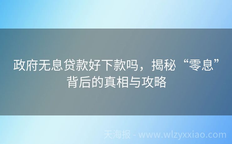 政府无息贷款好下款吗，揭秘“零息”背后的真相与攻略
