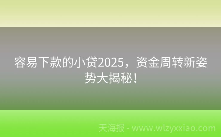 容易下款的小贷2025，资金周转新姿势大揭秘！