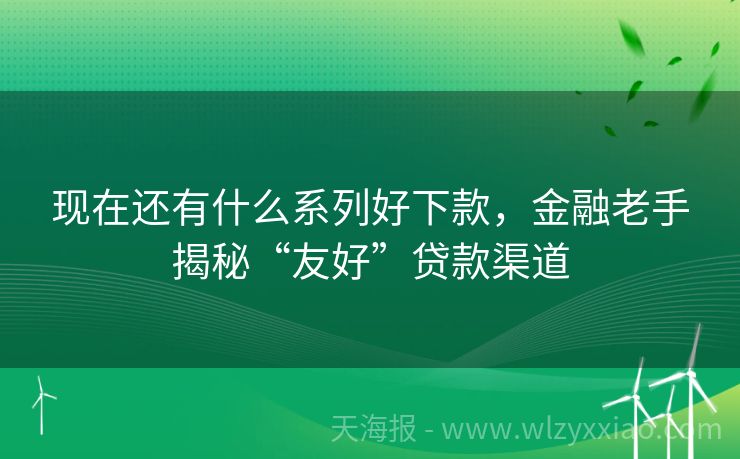 现在还有什么系列好下款，金融老手揭秘“友好”贷款渠道