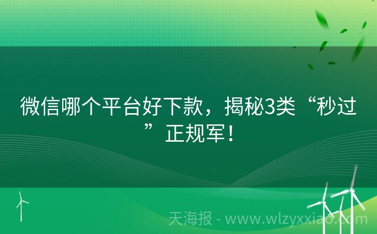 微信哪个平台好下款，揭秘3类“秒过”正规军！