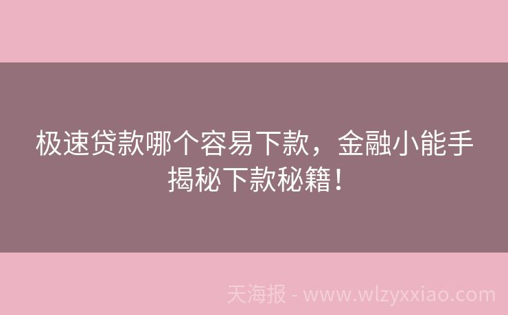 极速贷款哪个容易下款，金融小能手揭秘下款秘籍！