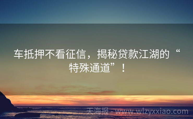 车抵押不看征信，揭秘贷款江湖的“特殊通道”！