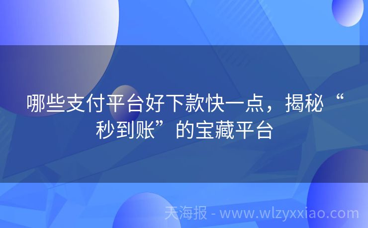 哪些支付平台好下款快一点，揭秘“秒到账”的宝藏平台