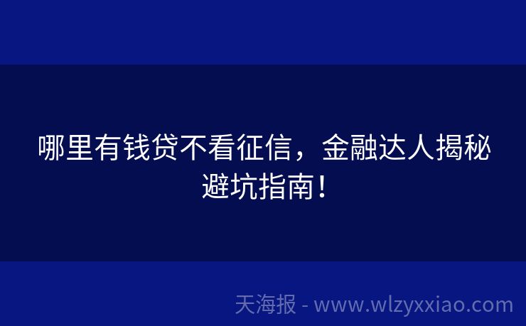 哪里有钱贷不看征信，金融达人揭秘避坑指南！