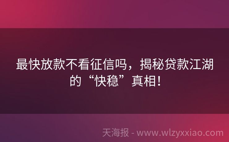 最快放款不看征信吗，揭秘贷款江湖的“快稳”真相！