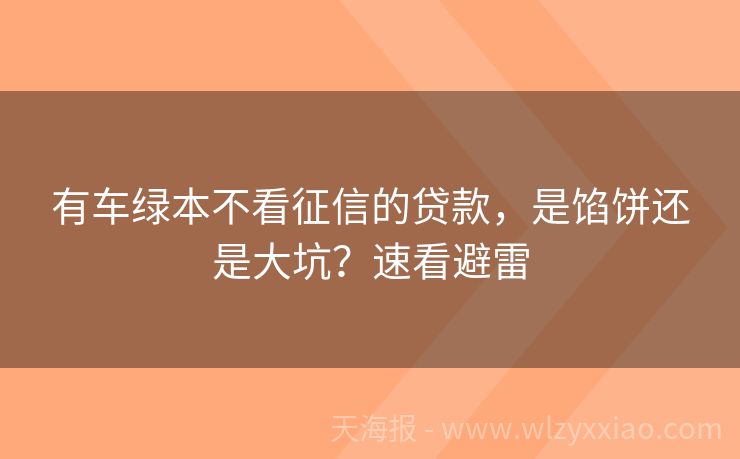 有车绿本不看征信的贷款，是馅饼还是大坑？速看避雷