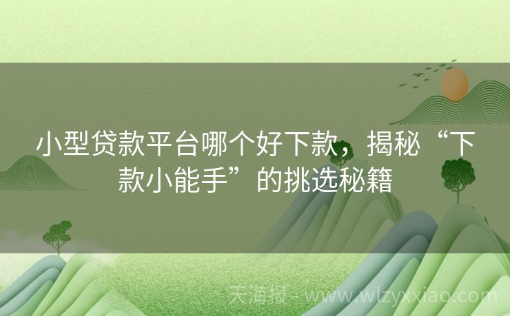 小型贷款平台哪个好下款，揭秘“下款小能手”的挑选秘籍