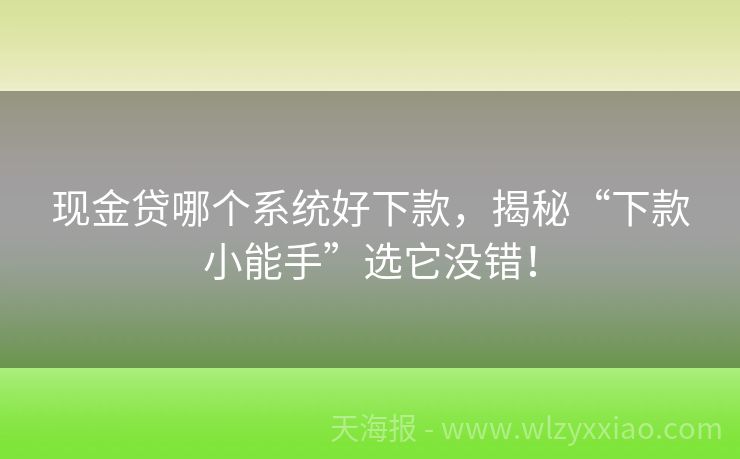现金贷哪个系统好下款，揭秘“下款小能手”选它没错！