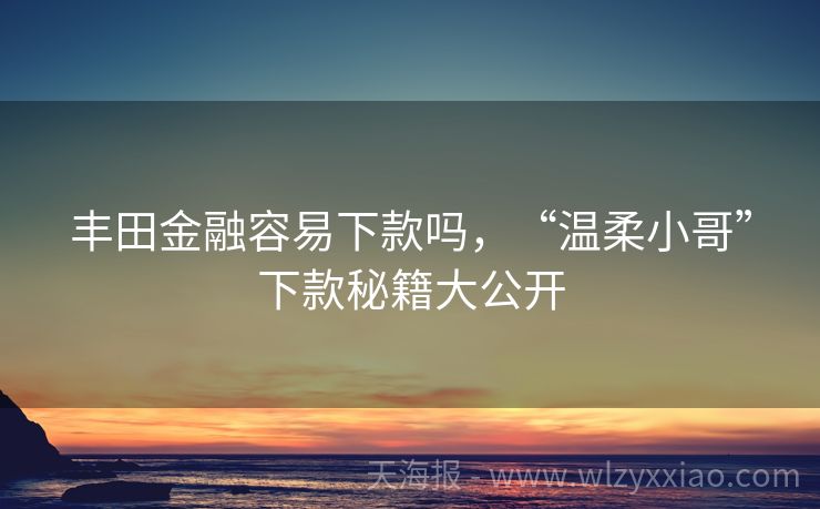 丰田金融容易下款吗，“温柔小哥”下款秘籍大公开