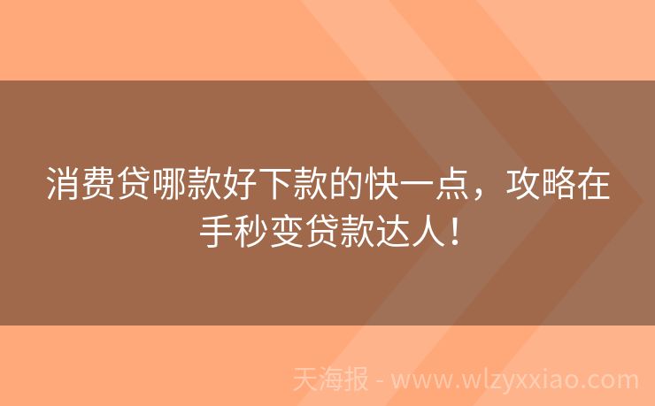 消费贷哪款好下款的快一点，攻略在手秒变贷款达人！